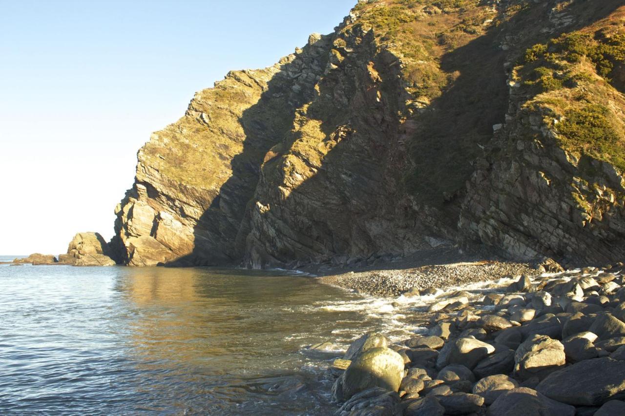 Kittiwake Cottage Браунтон Екстер'єр фото